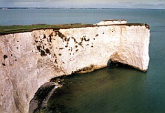 1996 - Angleterre 15